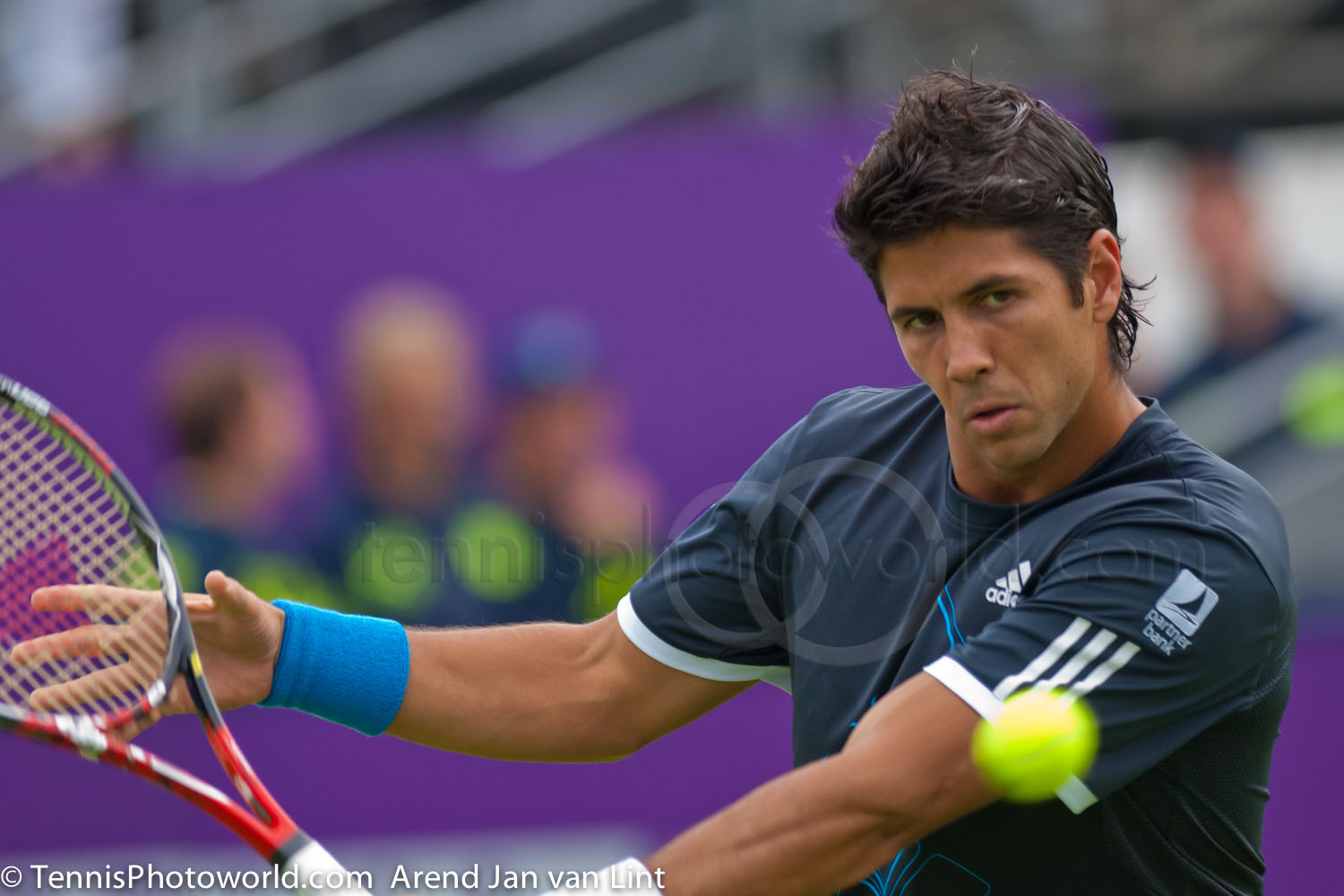 Uitgraving Hoogland Ontvangende machine Fernando Verdasco Ordina Open 2009 BH (links) 277 ‹ TennisPhotoWorld.com Uitgraving Hoogland Ontvangende machine Fernando Verdasco Ordina Open 2009 BH (links) 277 ‹ TennisPhotoWorld.com