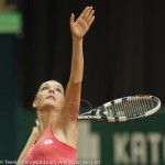 Agnieszka Radwanska Katowice 2013 985
