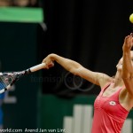 Agnieszka Radwanska Katowice 2013 service 944