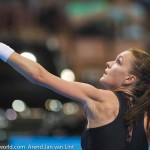 Agnieszka Radwanska Katowice 2015 2221