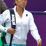 Ai Sugiyama Ordina Open 2008 002