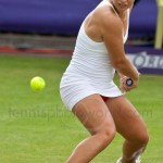 Dominika Cibulkova Ordina Open 2009 596