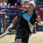 David Ferrer Ordina-Open-2008-445