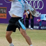 David Ferrer Ordina-Open-2008-538