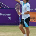 David Ferrer Ordina-Open-2008-549