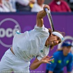 David Ferrer Ordina-Open-2009-116