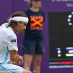 David Ferrer Ordina-Open-2009-166