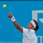 David Ferrer Ordina-Open-2012-203