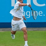 David Ferrer Ordina-Open-2012-2033
