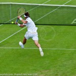 David Ferrer Ordina-Open-2012-2057