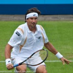 David Ferrer Ordina-Open-2012-2078