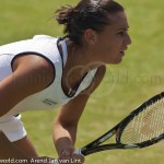 Flavia Pennetta Ordina Open 2009 return 66