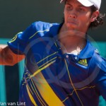 Fernando Verdasco RG 2010 FH 8653