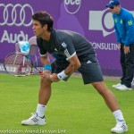 Fernando Verdasco Ordina Open 2009 305
