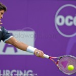 Fernando Verdasco Ordina Open 2009 FH 271