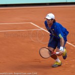 Fernando Verdasco RG 2010 345