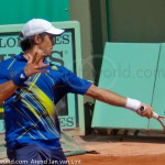 Fernando Verdasco RG 2010 FH 334