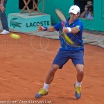 Fernando Verdasco RG 2010 FH 343