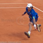 Fernando Verdasco RG 2010 FH 346