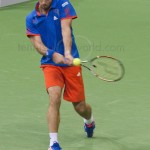 Viktor Troicki ABN AMRO Rotterdam 2012 5885