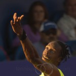 Gael Monfils semi finals Umag 2013 5288