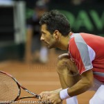 Julian Knowle Davis Cup 2013 NL Oostenrijk 9840