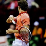 Robin Haase Davis Cup 2013 NL Oostenrijk 8492