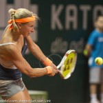 Andrea Hlavackova Katowice 2013 BH 2049