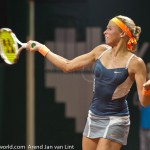 Andrea Hlavackova Katowice 2013 FH 2035
