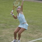 Michaella Krajicek Ordina Open 2007 113