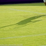 Michaella Krajicek Ordina Open 2009 445