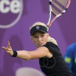 Michaella Krajicek Ordina Open 2009 539