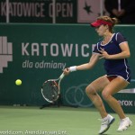 Alize Cornet Katowice 2014 2884