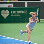 Camila Giorgi Final Katowice 2014 9815