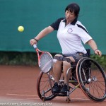 WTC Wheelchair Alphen 2014 Chinese Taipei 4342