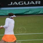 11 Simona Halep Rosmalen 2014 8398