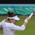12 Simona Halep Rosmalen 2014 8372