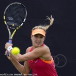 28 Eugenie Bouchard Rosmalen 2014 8080