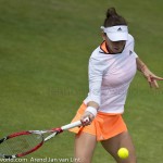 28 Simona Halep Rosmalen 2014 8469