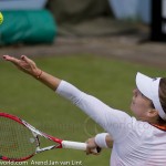 36 Simona Halep Rosmalen 2014 8525a