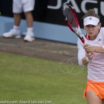 37 Simona Halep Rosmalen 2014 8528