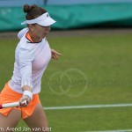 8 Simona Halep Rosmalen 2014 8347