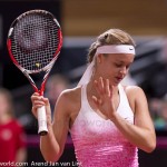 Anna Schmiedlova Fed Cup 2015 1059