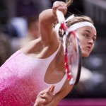 Anna Schmiedlova Fed Cup 2015 1161