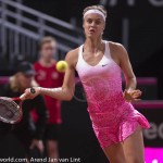 Anna Schmiedlova Fed Cup 2015 1205