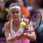 Anna Schmiedlova Fed Cup 2015 2293