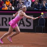 Anna Schmiedlova Fed Cup 2015 2463