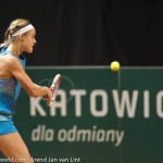 Anna Schmiedlova Katowice 2013 BH 2067