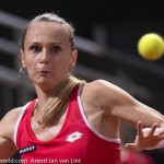 Magdalena Rybarikova Fed Cup 2015 1481