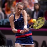 Magdalena Rybarikova Fed Cup 2015 1843